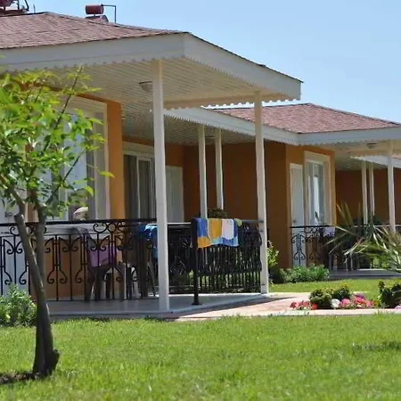 Complex Senza Inova Payallar