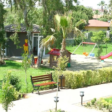 Complex Senza Inova Payallar