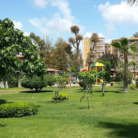 Senza Inova Complex Payallar