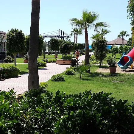 Complex Senza Inova 4*